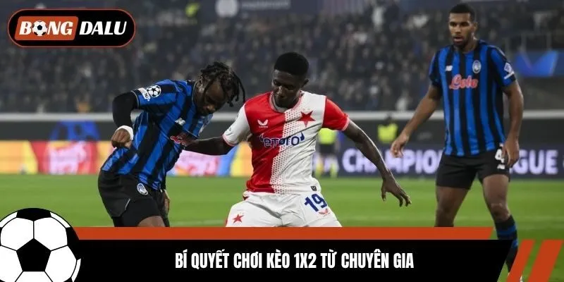 Bí quyết chơi kèo 1x2 từ chuyên gia