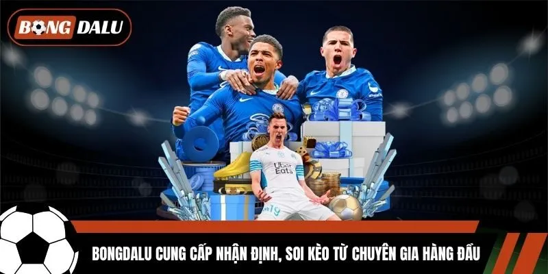 Bongdalu cung cấp nhận định, soi kèo từ chuyên gia hàng đầu