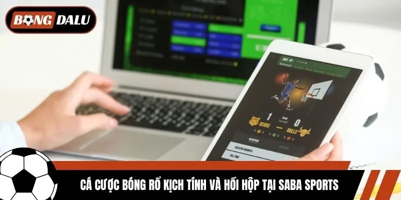 Cá cược bóng rổ kịch tính và hồi hộp tại Saba Sports