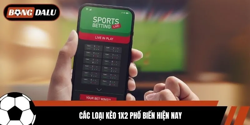 Các loại kèo 1x2 phổ biến hiện nay
