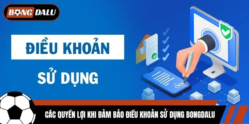Các quyền lợi khi đảm bảo điều khoản sử dụng Bongdalu