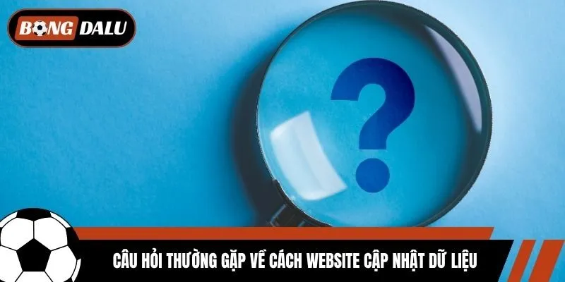 Câu hỏi thường gặp về cách website cập nhật dữ liệu