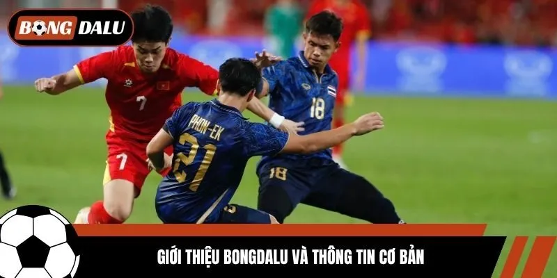 Giới Thiệu Bongdalu 1 Giới thiệu Bongdalu và thông tin cơ bản