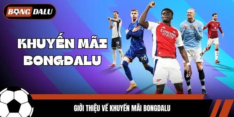 Giới thiệu về khuyến mãi Bongdalu