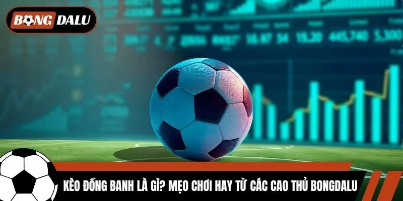 Kèo Đồng Banh Là Gì? Mẹo Chơi Hay Từ Các Cao Thủ Bongdalu