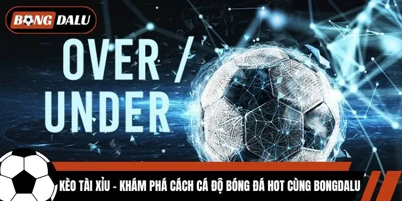 Kèo Tài Xỉu - Khám Phá Cách Cá Độ Bóng Đá Hot Cùng Bongdalu