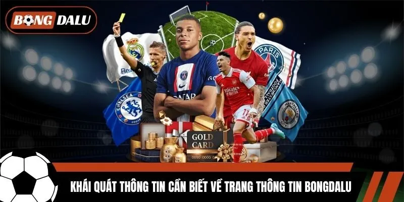 Khái quát thông tin cần biết về trang thông tin Bongdalu