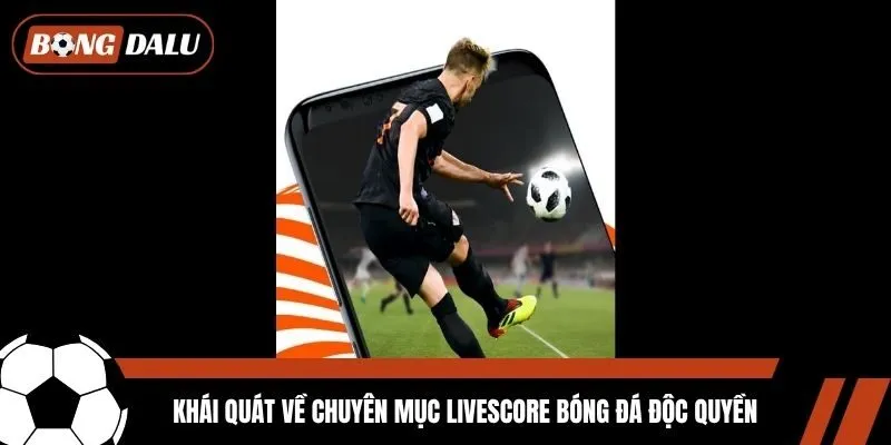 Khái quát về chuyên mục Livescore bóng đá độc quyền