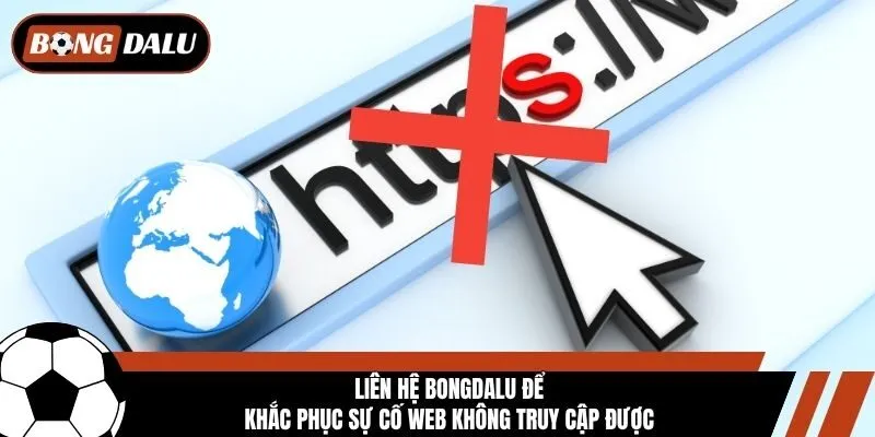 Liên hệ Bongdalu để khắc phục sự cố web không truy cập được