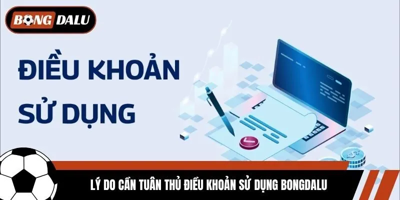 Lý do cần tuân thủ điều khoản sử dụng Bongdalu