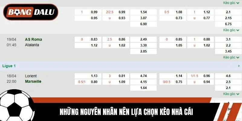 Những nguyên nhân nên lựa chọn kèo nhà cái