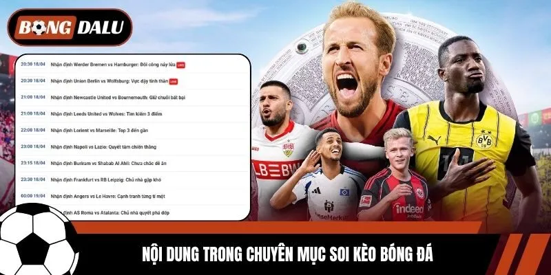 Nội dung trong chuyên mục soi kèo bóng đá
