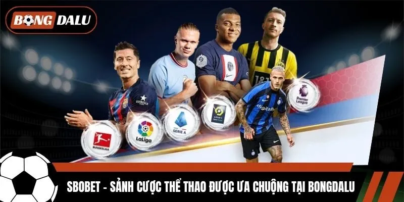 Sbobet - Sảnh Cược Thể Thao Được Ưa Chuộng Tại Bongdalu