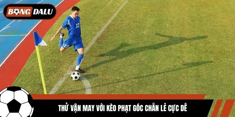 Thử vận may với kèo phạt góc chẵn lẻ cực dễ
