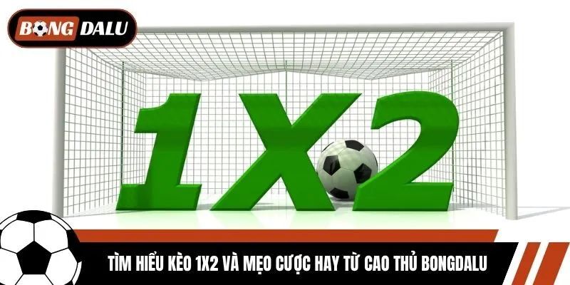 Tìm Hiểu Kèo 1x2 Và Mẹo Cược Hay Từ Cao Thủ Bongdalu