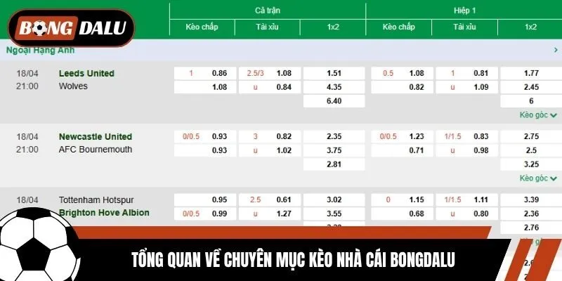 Tổng quan về chuyên mục kèo nhà cái Bongdalu
