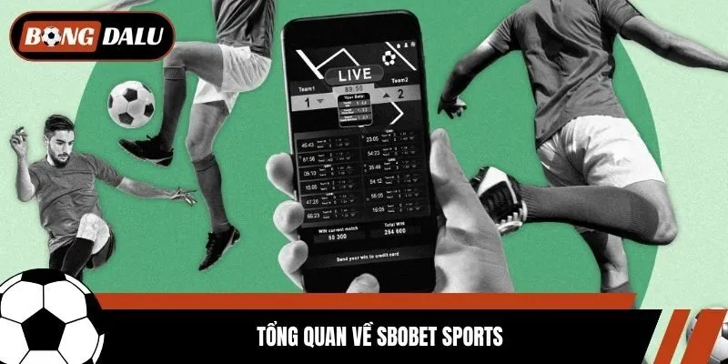 Tổng quan về Sbobet Sports